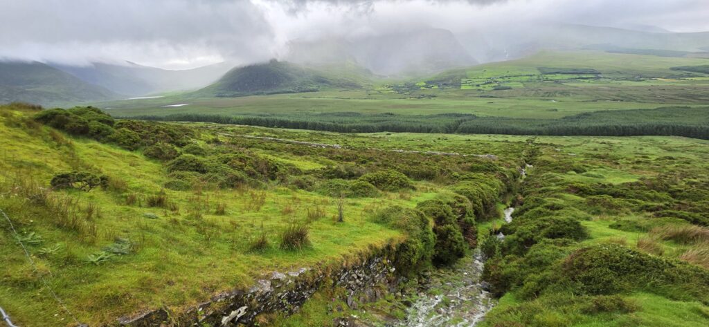 Valley stream, Ireland, 2025