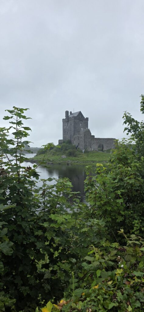 Castle tower through the leaves, Ireland, 2025