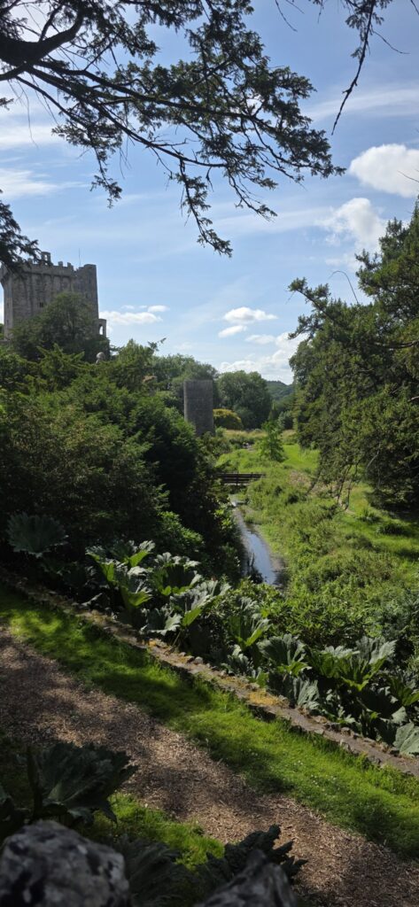 Castle tower and the stream, Ireland, 2025