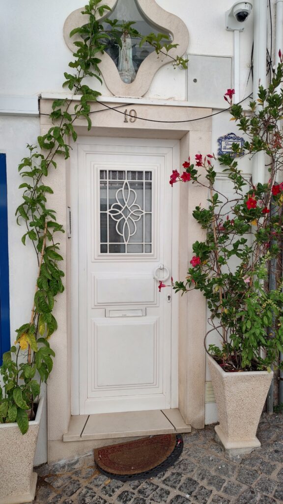 White door with vines and flowers, Portugal, 2024